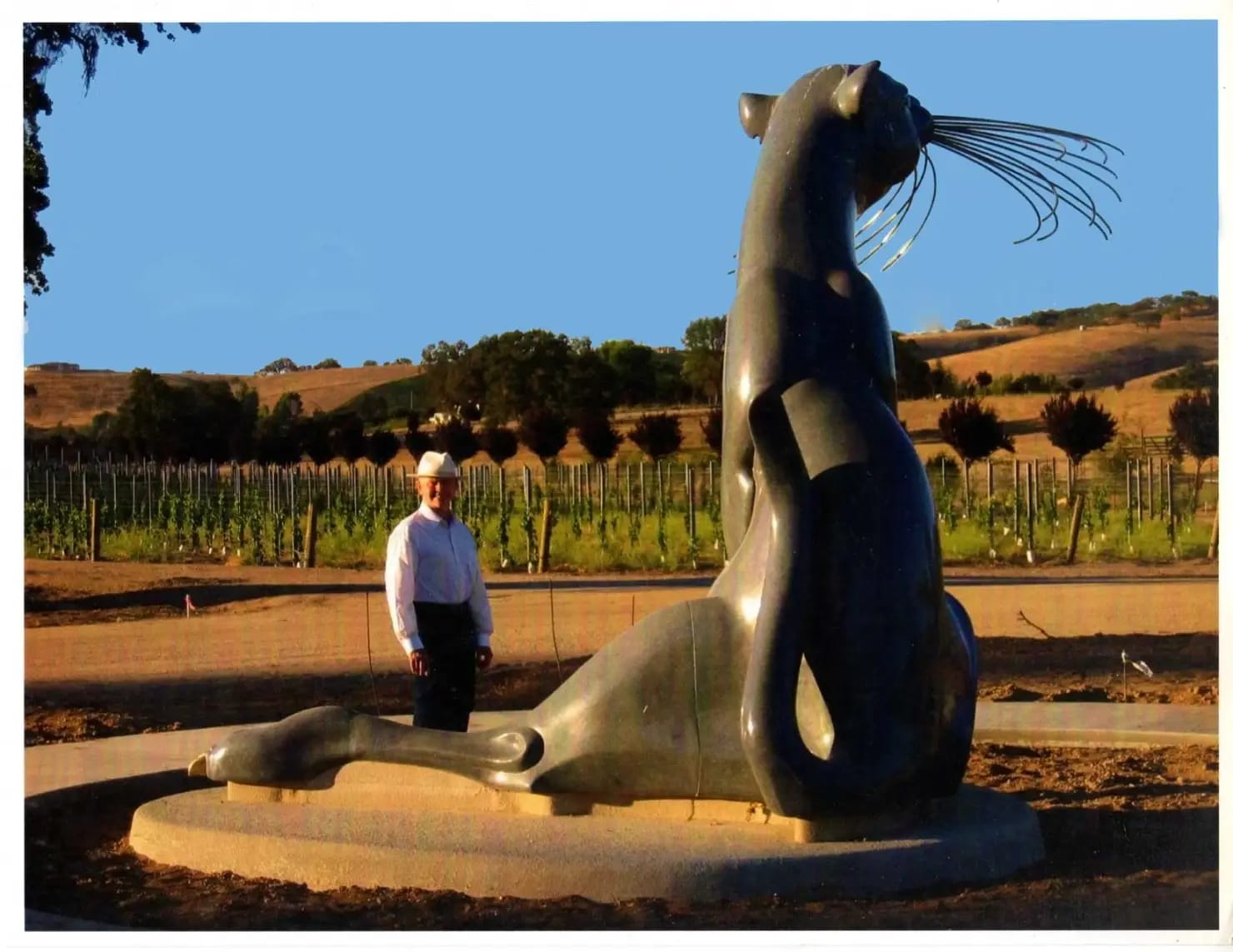 A photograph of a man in a white hat standing beside a stone sculpture of a cat seen from behind. There are wine grapes in the background, and rolling dry yellow hills. 