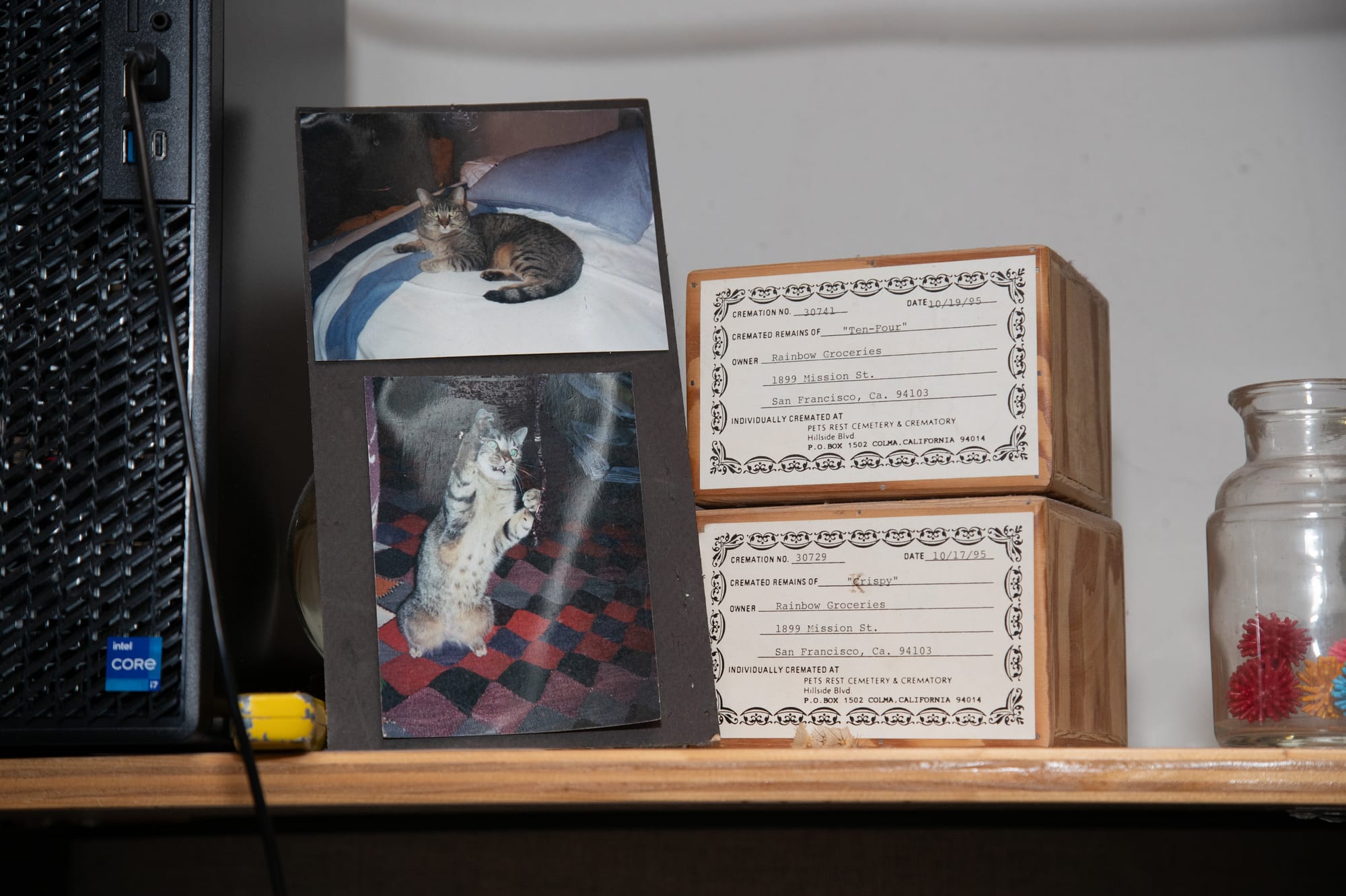 two boxes of deceased cats' ashes are labeled and displayed on a shelf next to photos of cats