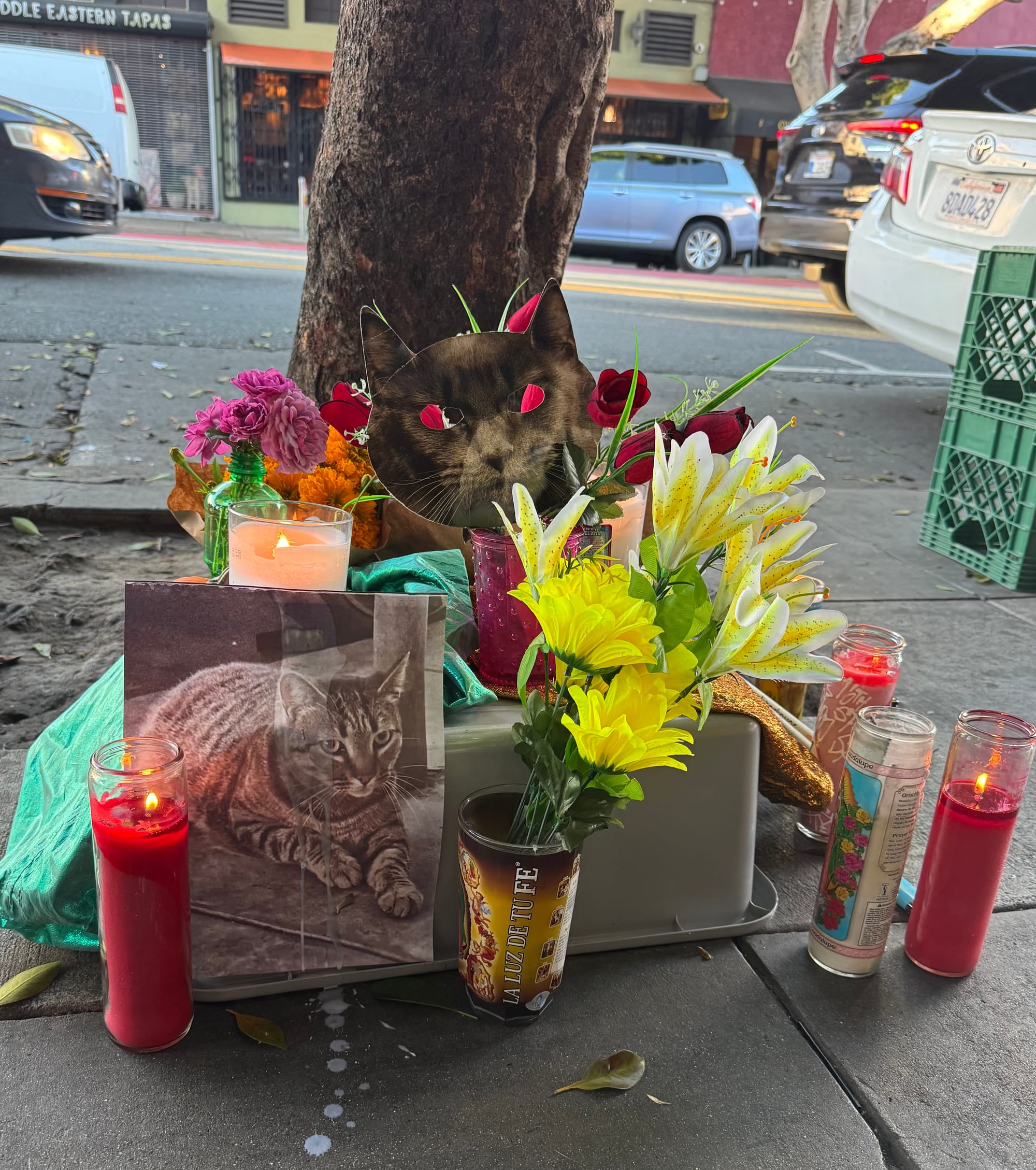 an altar for a cat that got hit by a car