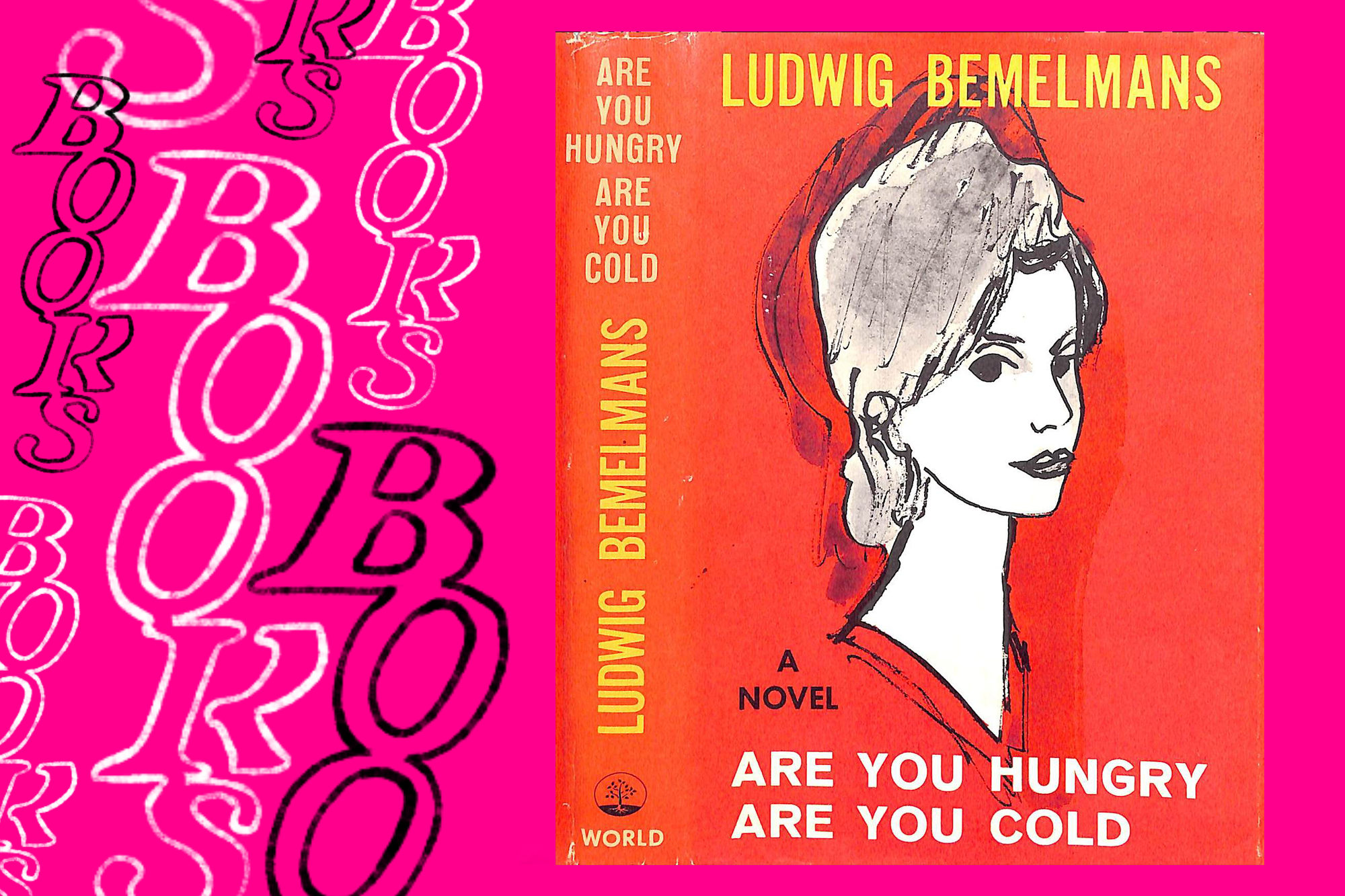 A pink background with the word BOOKS hand drawn along the side. To the right, the cover of the book Are You Hungry Are You Cold which shows an illustration of a woman against a red background.