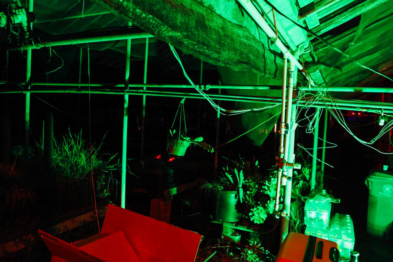 A green light illuminates a dark greenhouse space, showing a few hanging plants and internal structures. 