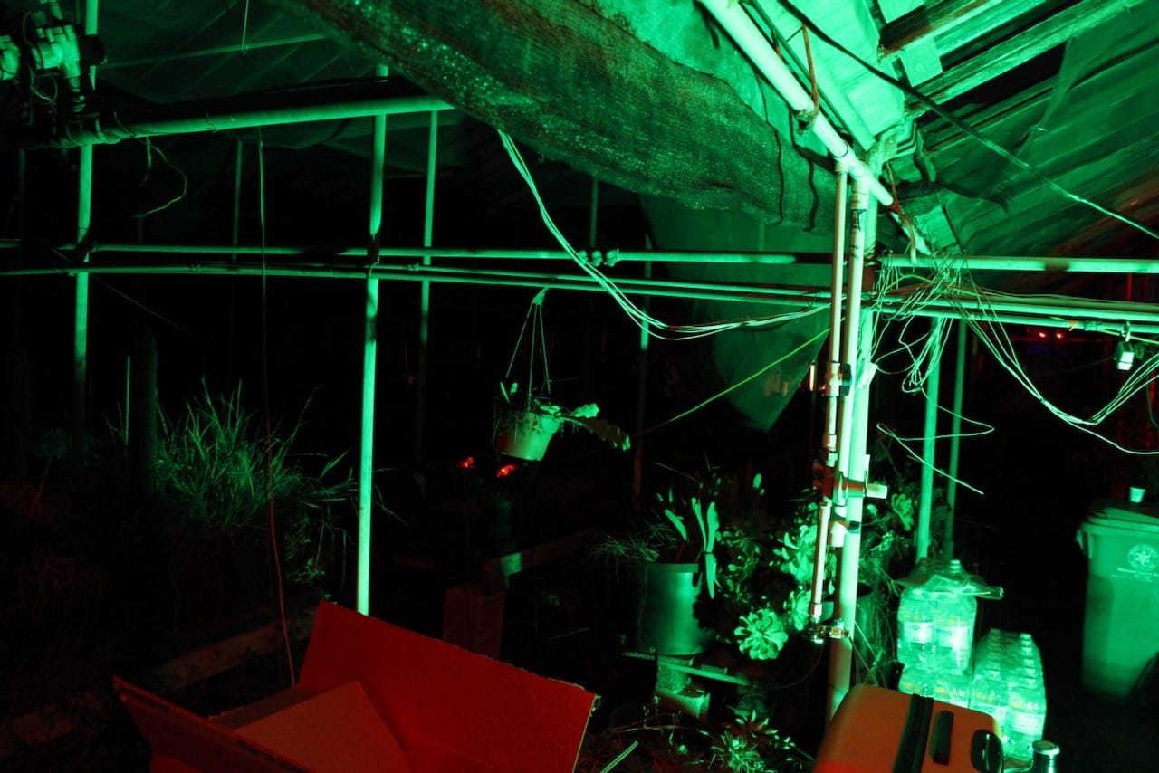 A green light illuminates a dark greenhouse space, showing a few hanging plants and internal structures.